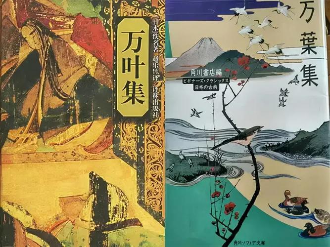 大和抚子版本大全:经典日剧不同版本对比