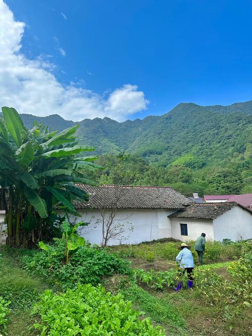 想玩我的乡村生活?安卓下载方法都在这里!