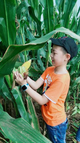 乡村生活的快乐暑假下载:安全便捷的下载方法分享