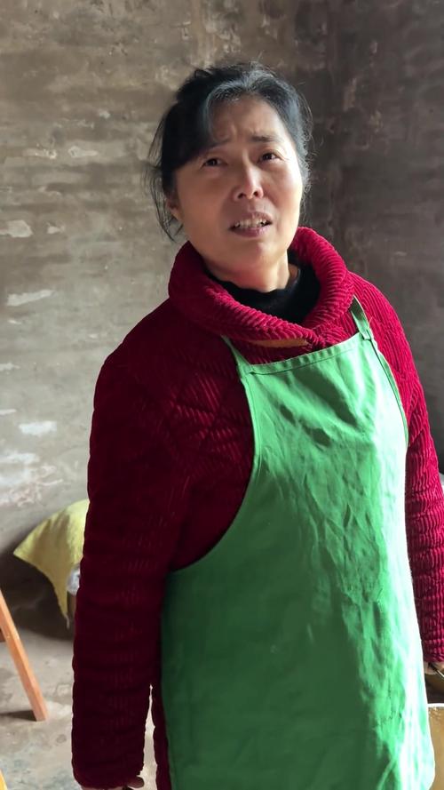 我的乡村生活汉化版下载安装:轻松体验乡村生活