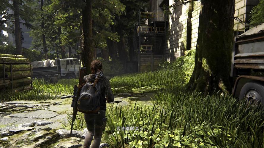 想玩最后的生还者2?教你快速下载到电脑上