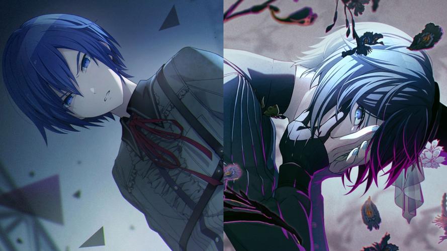 寻找KAI合集版本大全?这里有你需要的全部版本!