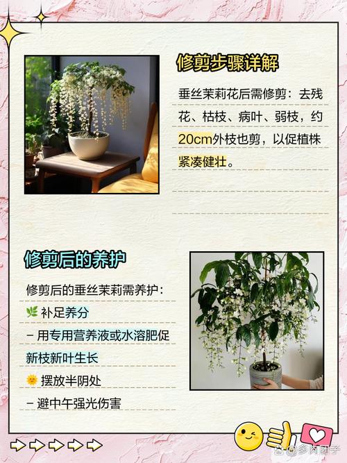 乡间性活更新地址失效？别担心，这里有备用