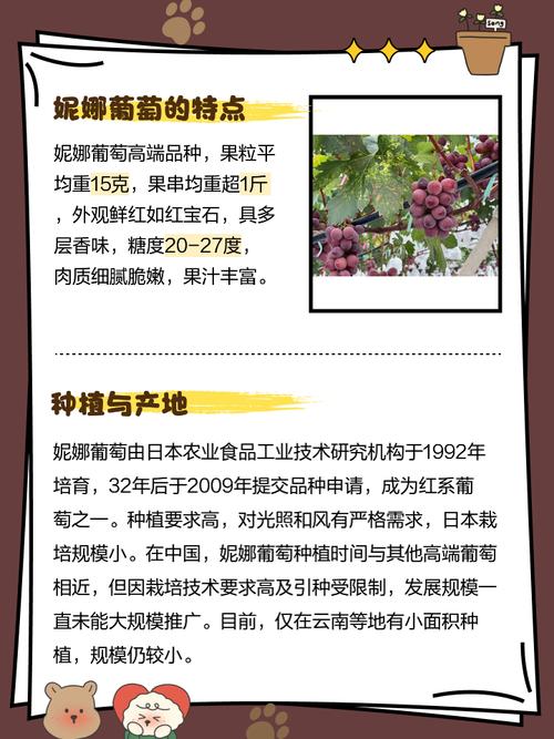 葡萄成熟时：安妮的幻想之旅，你准备好了吗？