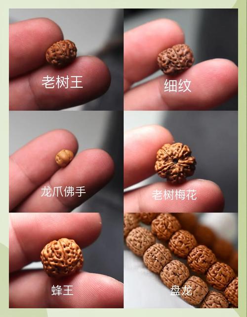 自大辣妹家庭教学下载方法:快速上手秘籍