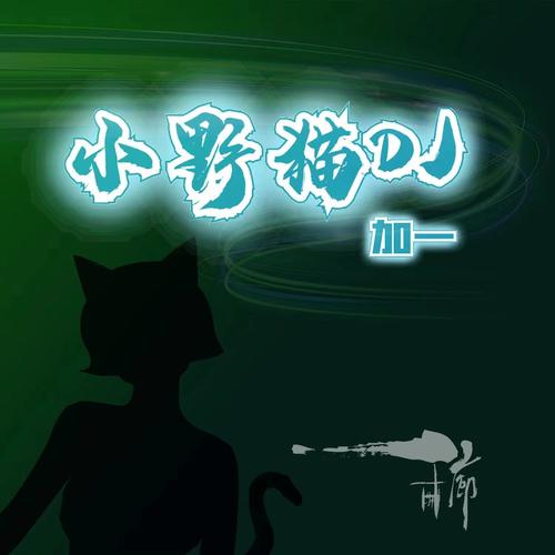 收集了所有小野猫N上版本,总有一款适合你