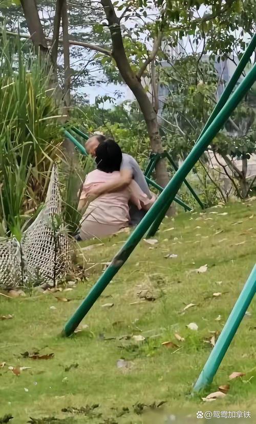 安全可靠的激情公园下载地址:远离病毒和陷阱