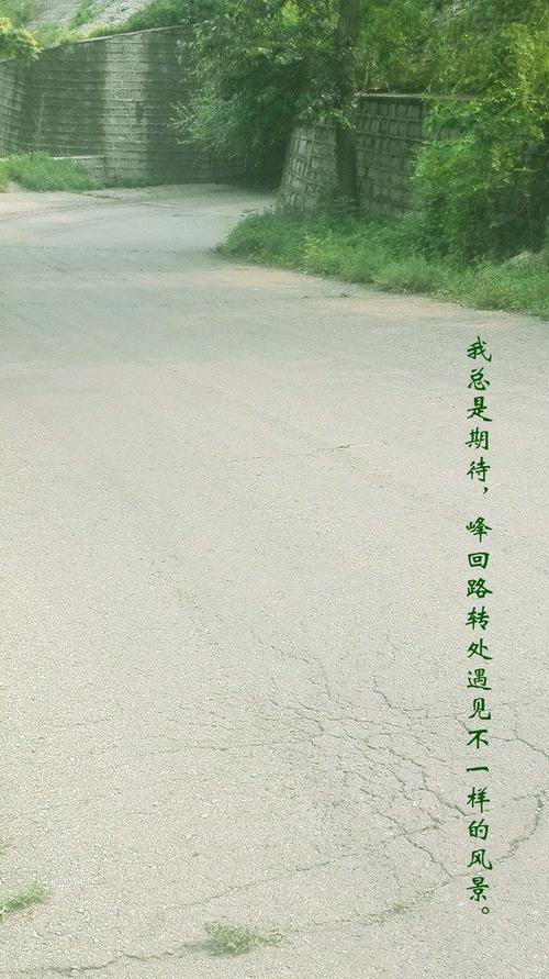 找不到峰回路转下载?这里有你需要的各种版本下载