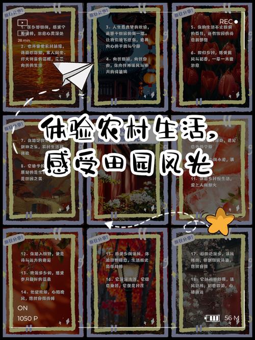 乡村生活的快乐暑假最新版下载攻略,体验田园乐趣