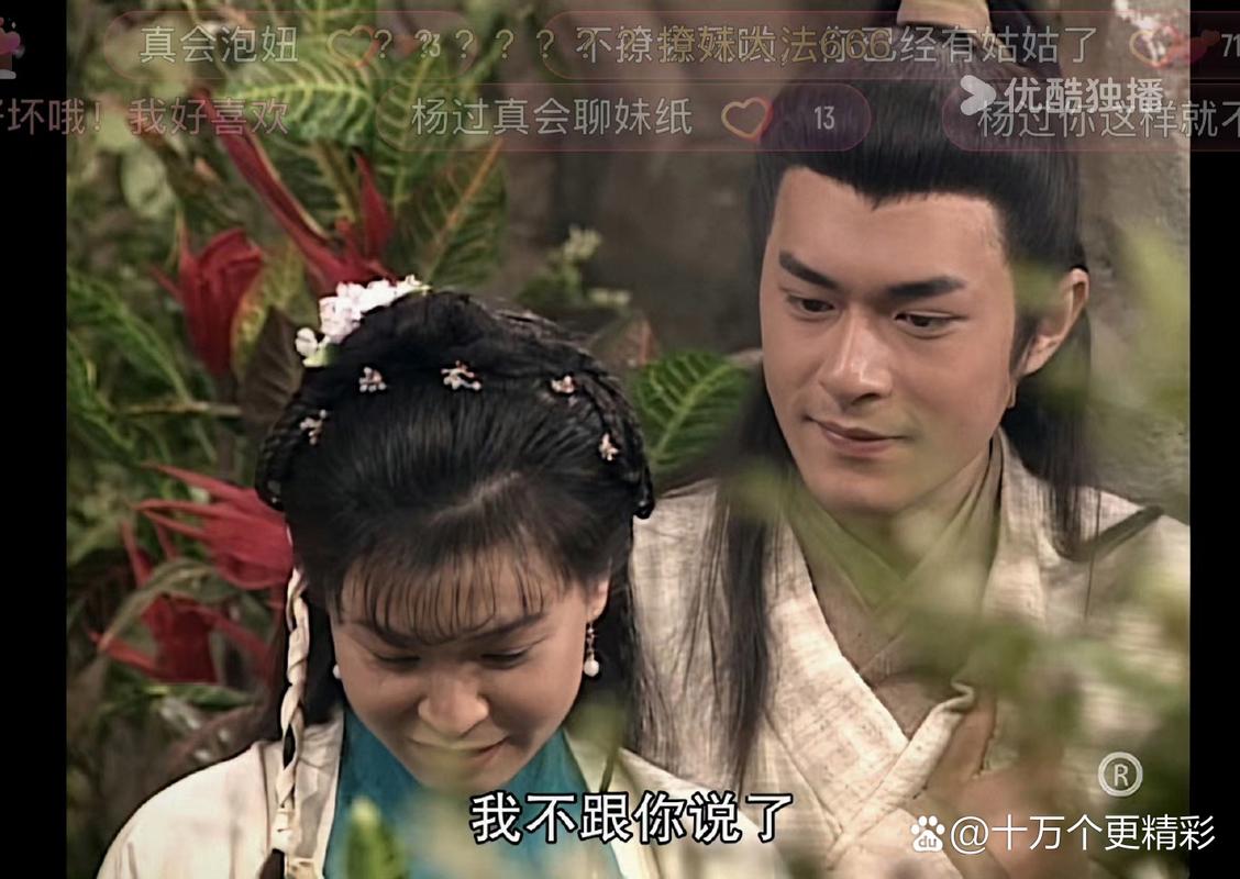 你玩过SOA续集杨过游戏吗？快来分享心得