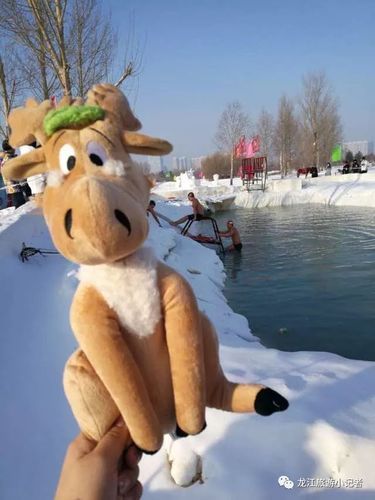 欢乐岛版本大全:解决你找不到游戏版本的问题!