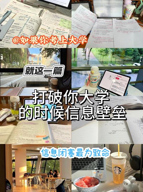 大学狂热最新热门话题:玩家都在讨论什么?