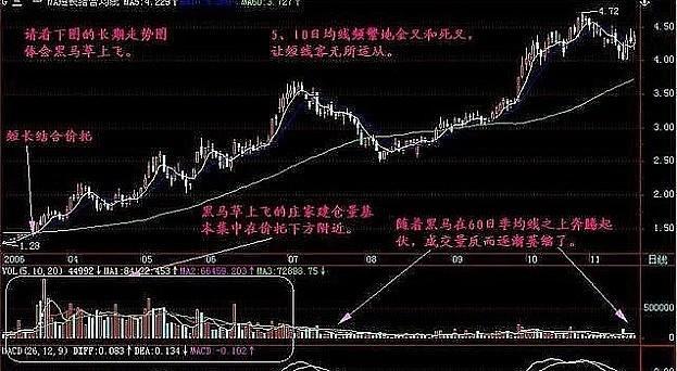 股市之狼下载方法大全，告别下载难题！