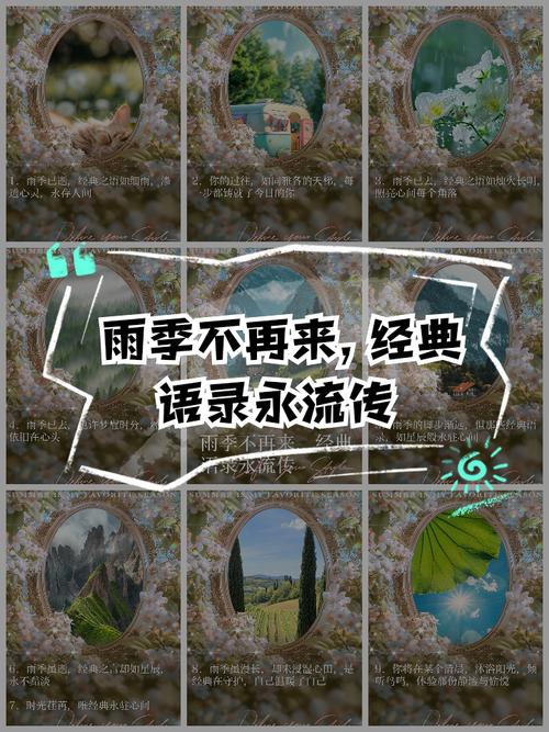 雨季更新地址:高清资源免费观看,错过不再!