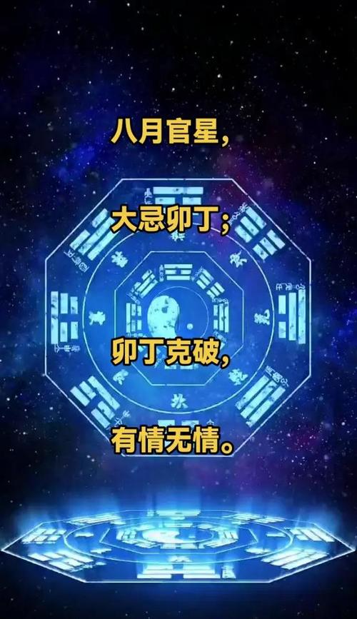 寻找真相:解开八月官方网站背后的故事