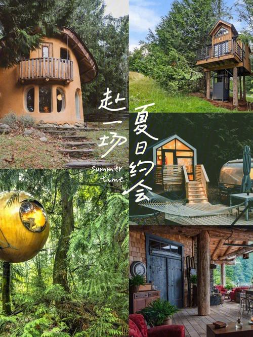 一步步教你下载亲密民宿BNB，超详细图文教程！