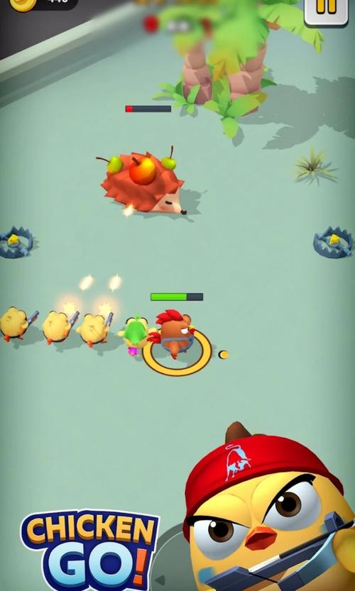 小鸡游戏最新版本是多少?下载地址及游戏玩法详解