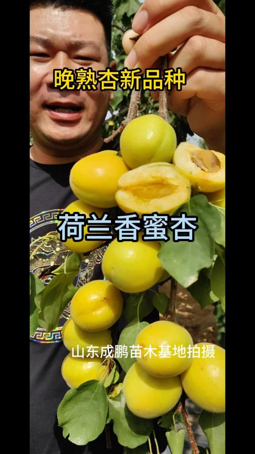 寻找人杏之间官方网站？这里有你需要的全部杏信息