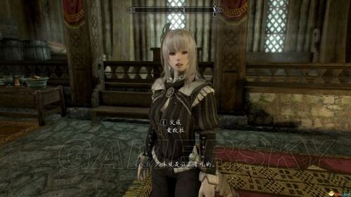 母上攻略5重置版最新资源及安装教程大全