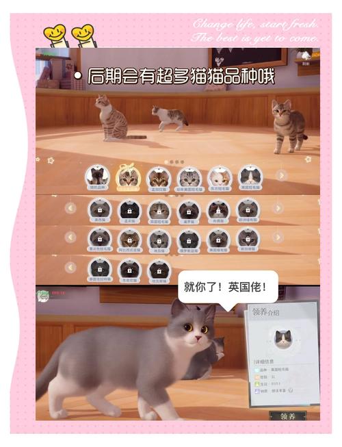 当你的猫咪绅士游戏：轻松治愈的猫咪养成手游