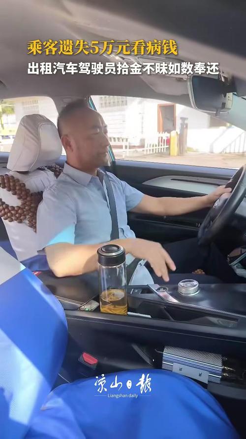 寻找成为出租车司机汉化版下载?这里有资源!