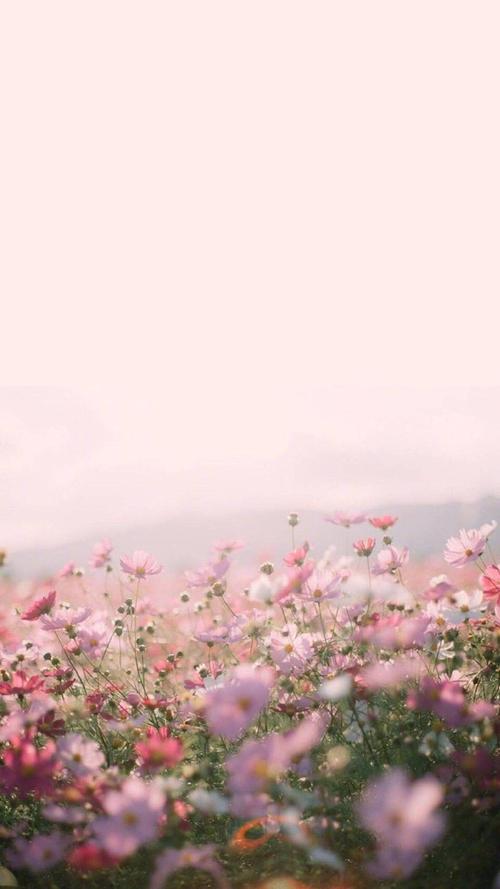 烂漫资源下载:各种方法和渠道分享