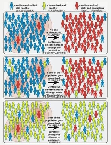 安全可靠的你与我的六月下载地址推荐：远离病毒和陷阱