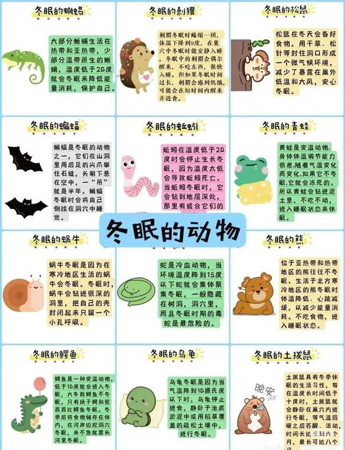 冬日狂想曲新手攻略:轻松上手,玩转冬日冒险之旅