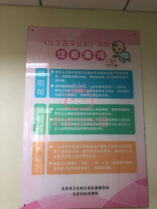 宝宝出生证明在哪里查询？官方网站在线查询系统指南