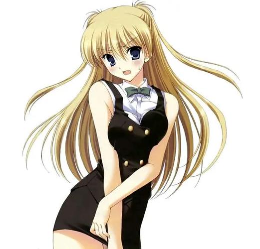 欢迎来到后宫岛，最新资讯抢先看，带你了解岛屿全貌