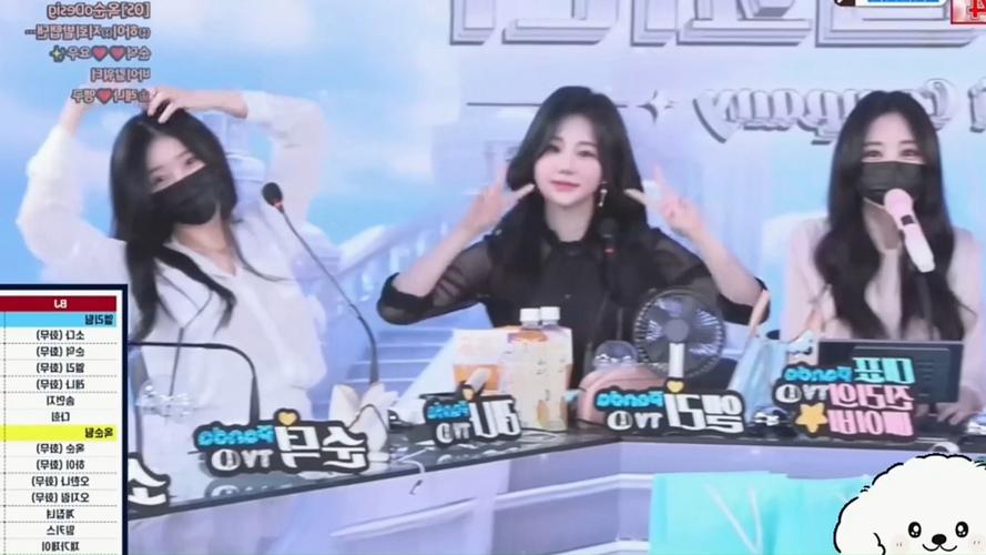 韩国女团Jinricp汉化版：最新更新了什么？