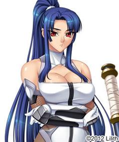 对魔忍阿莎姬版本大全:玩家必备版本合集