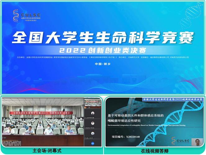 生命竞赛最新版本是多少？别玩错版本了，快来看看！