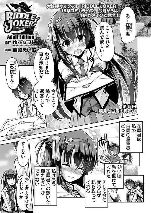 Riddle Joker下载安装全攻略,新手必看!