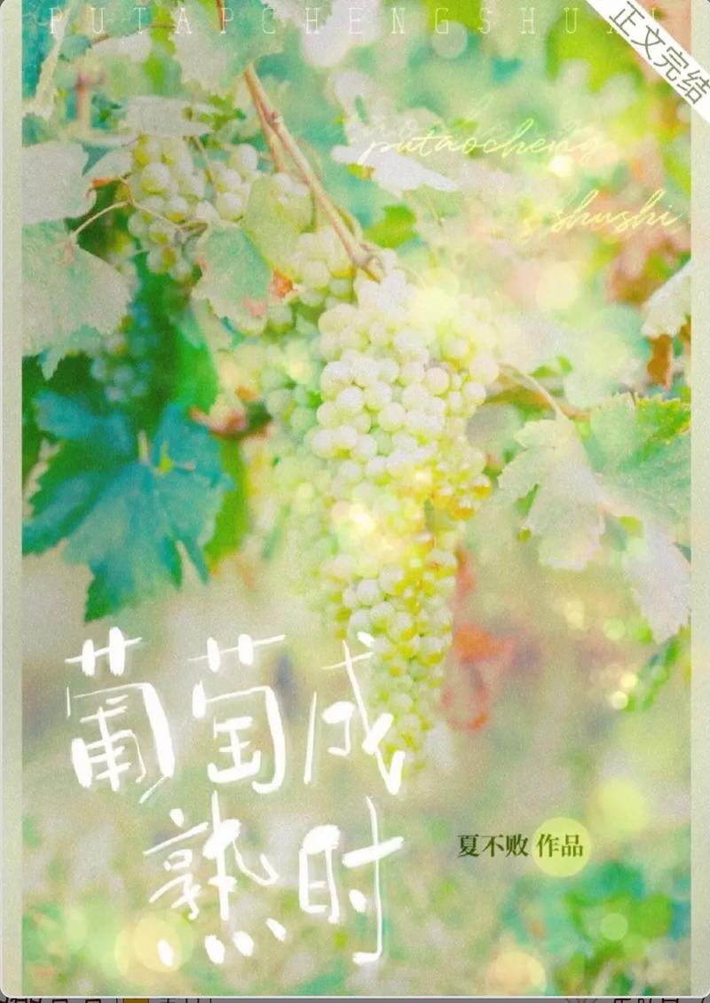 寻找葡萄成熟时下载地址:高清无损音乐轻松获取