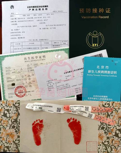 急需出生证明?安卓手机下载途径都在这里