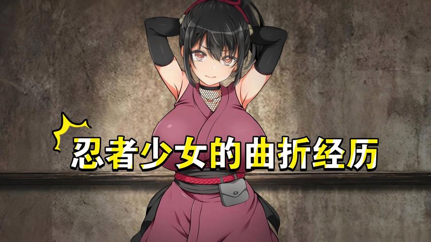 女忍条教版本大全:玩家自制修改版,体验不一样的乐趣!