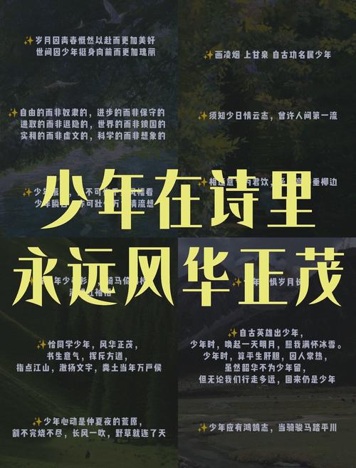 下载重返少年S1安卓版:追忆青春,创造辉煌!