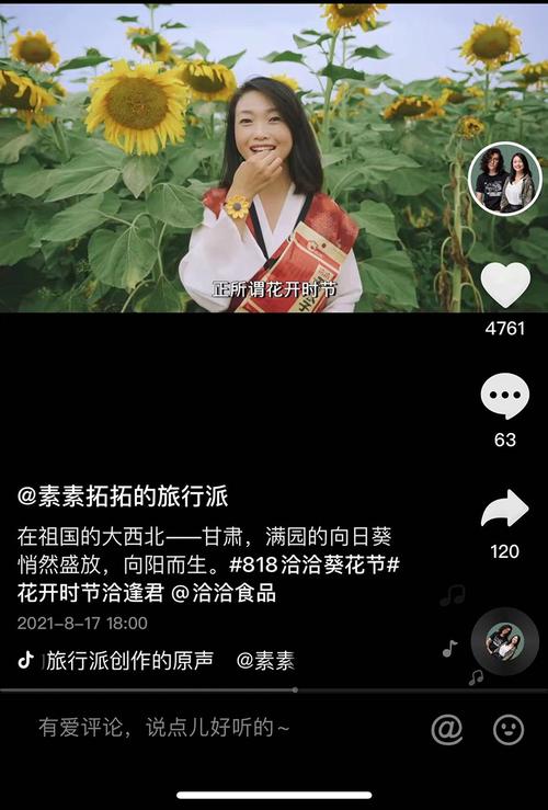 拓君和他的九个姐妹游戏攻略：快速上手小白指南