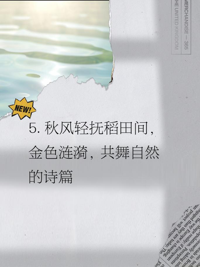 幻想蝴蝶飞舞时官方网站入口:唯美画面,精彩剧情,等你来体验