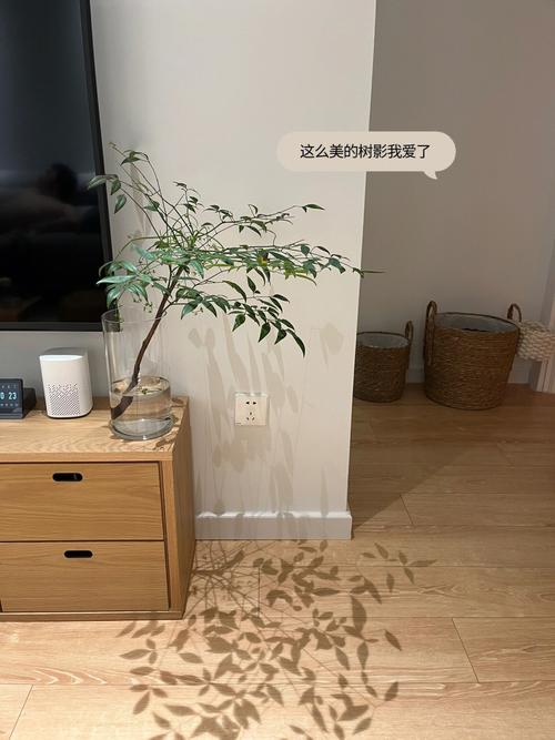 寻找我们的家下载地址？这里有你想要的！