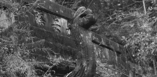 寻找真相:解开八月官方网站背后的故事