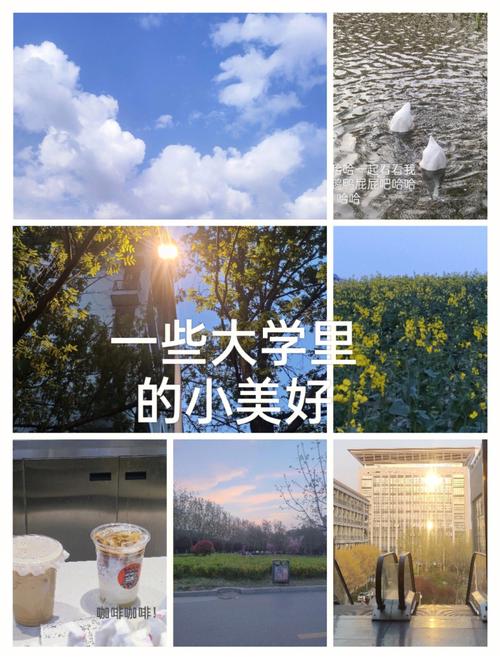 想玩我的大学生活S3?这里有下载地址!