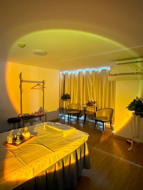 水疗中心汉化版下载：成为最棒的水疗大师