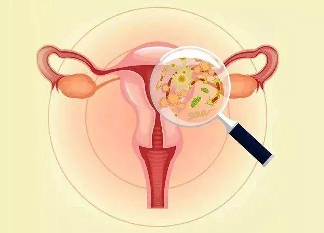 爆炎之孕2最新消息:孕期感染怎么办?专家建议及应对方法