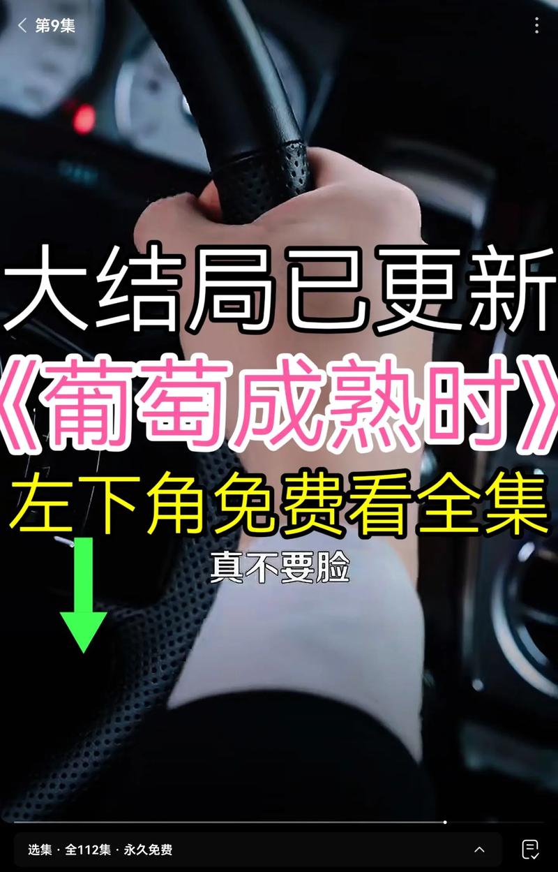 寻找葡萄成熟时下载地址:高清无损音乐轻松获取