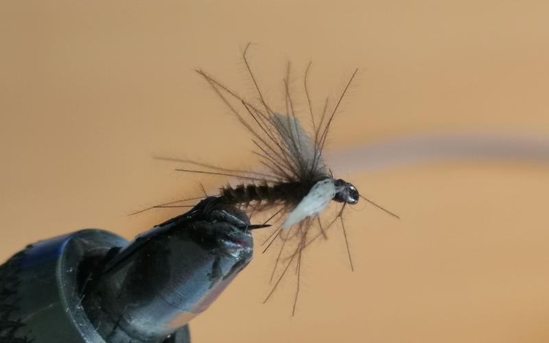 蜉蝣V0.2版本大全：高玩技巧及通关秘籍大放送