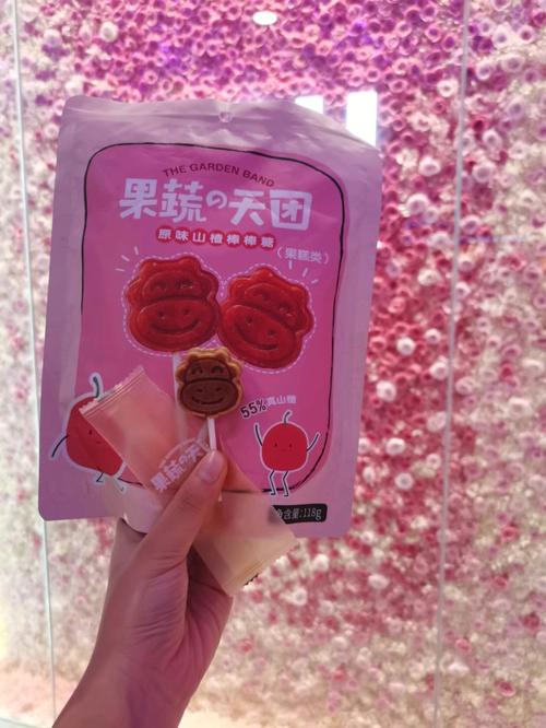 寻找棒棒糖夏天安卓汉化版?这里有下载方法!