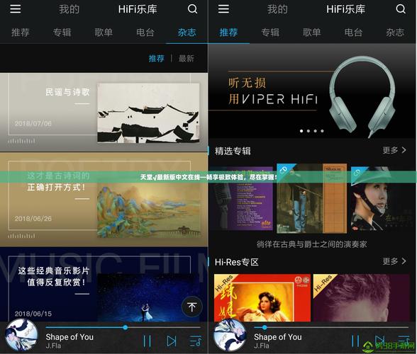 寻找VAM纯净中文版更新地址?别错过这个可靠资源!