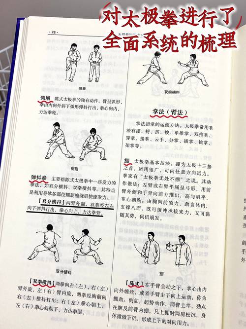 家务杨过游戏攻略:快速上手的技巧分享